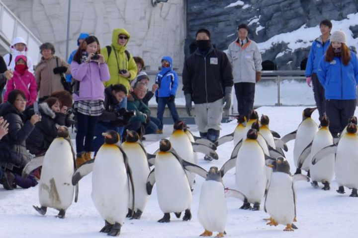 Walking Like a Penguin