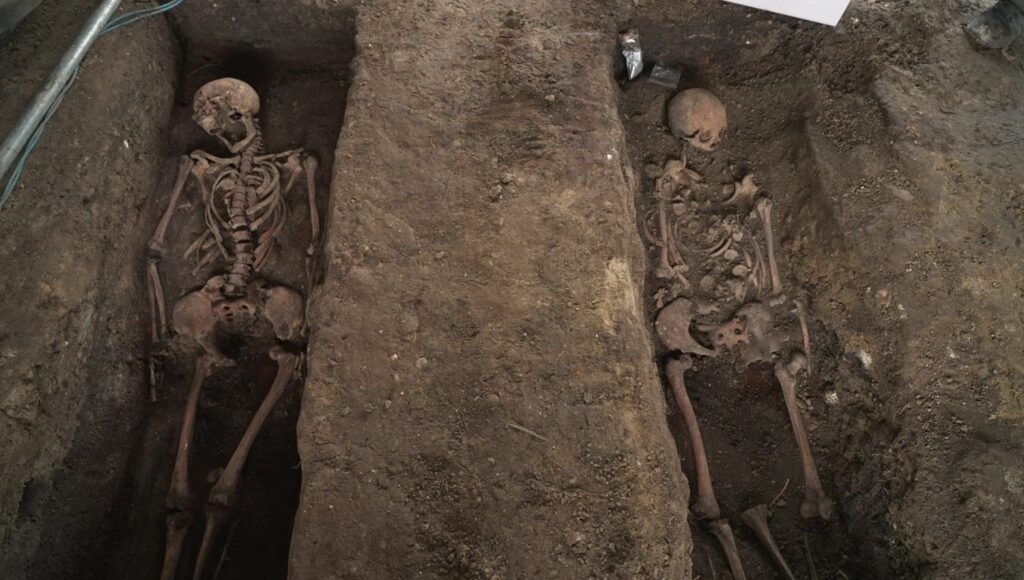 Two excavated skeletons in Hans Tavsens Park, Nørrebro