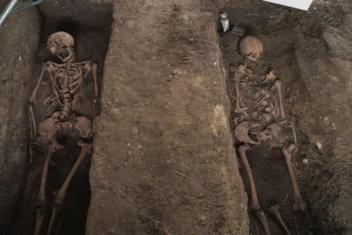 Two excavated skeletons in Hans Tavsens Park, Nørrebro
