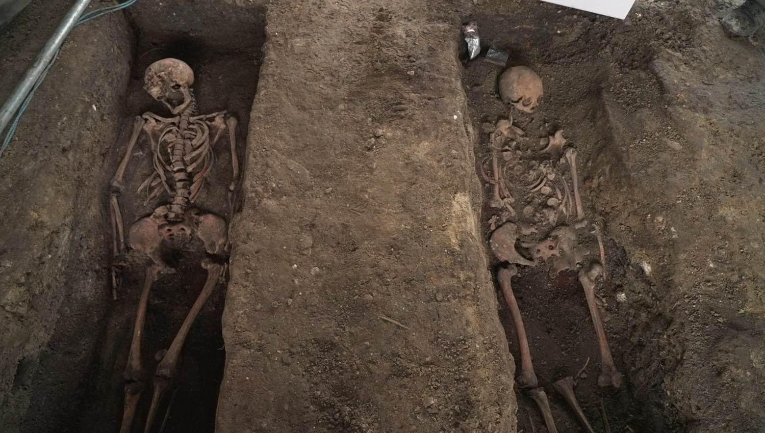 Two excavated skeletons in Hans Tavsens Park, Nørrebro