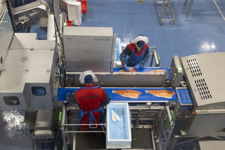 Workers at Fredriksen-Controlled Mowi Attack Wage Deal After Record Salmon Profits