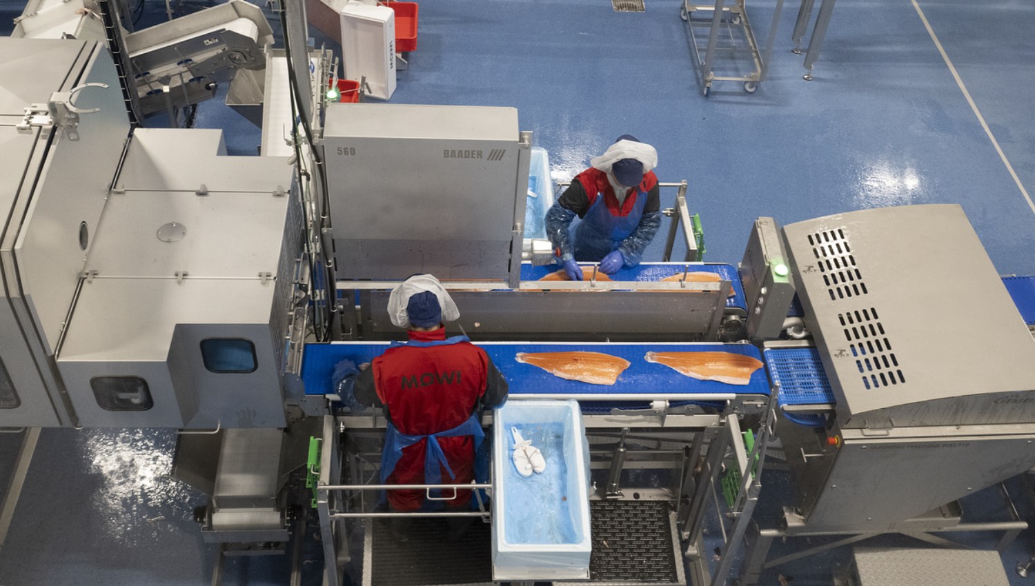 Workers at Fredriksen-Controlled Mowi Attack Wage Deal After Record Salmon Profits