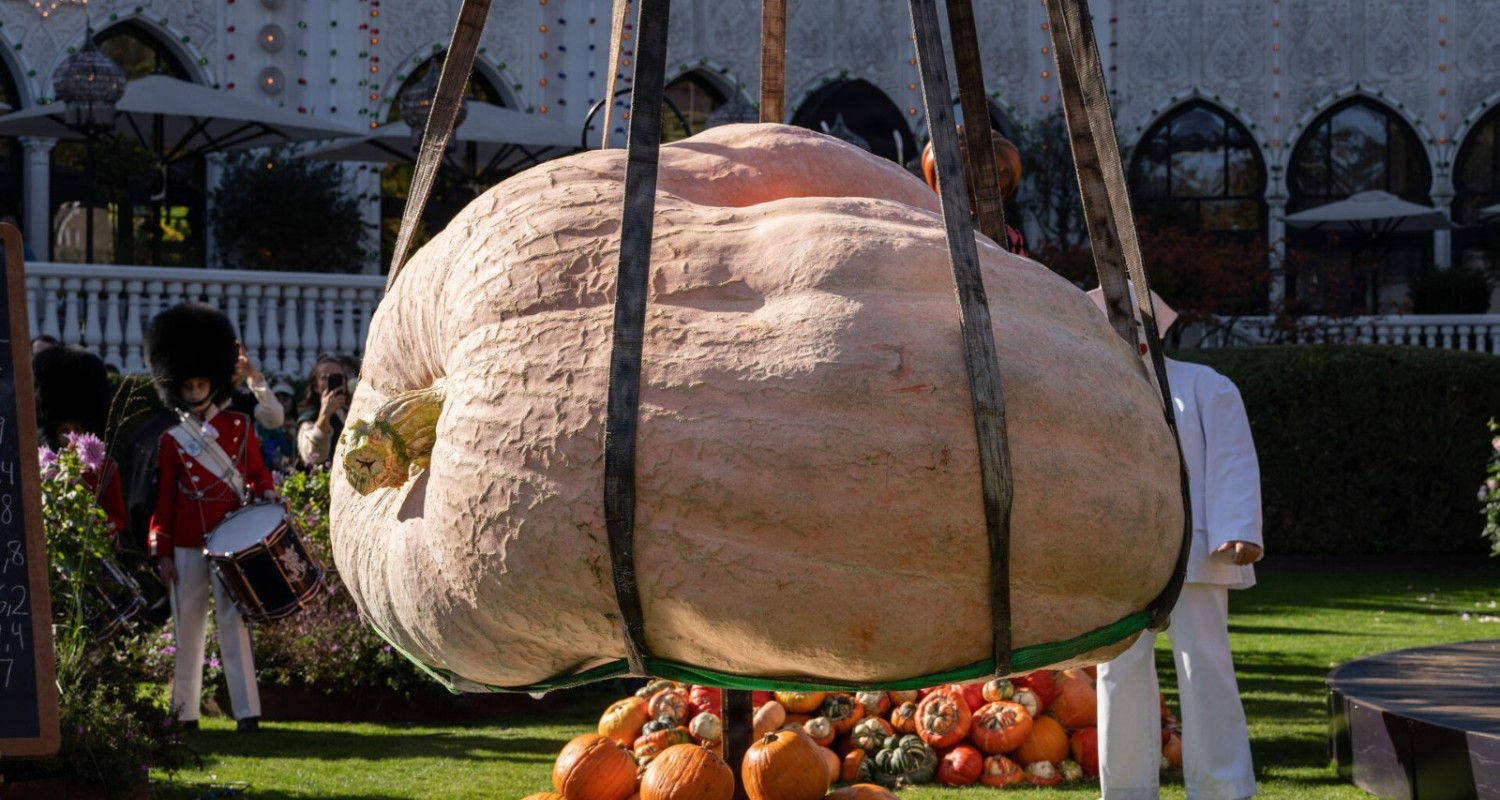 tivoli giant pumpkin nordic record naestved